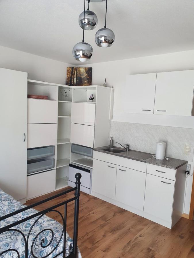 Haus Am Scheibenfelsen Apartment Санкт Блазиен Екстериор снимка