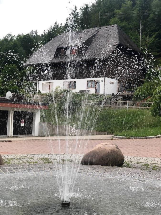 Haus Am Scheibenfelsen Apartment Санкт Блазиен Екстериор снимка