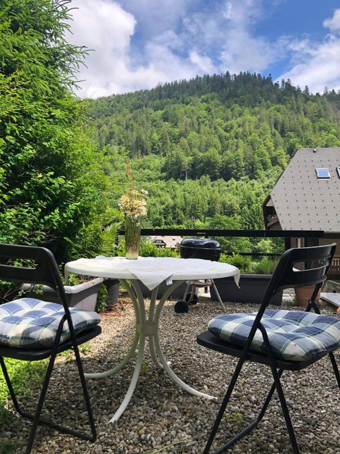 Haus Am Scheibenfelsen Apartment Санкт Блазиен Екстериор снимка