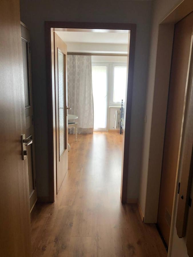 Haus Am Scheibenfelsen Apartment Санкт Блазиен Екстериор снимка