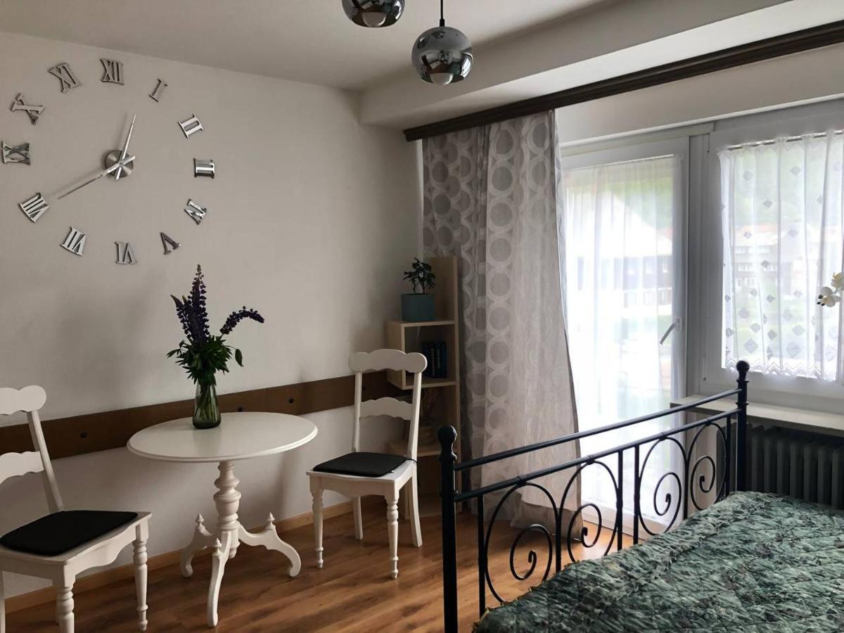 Haus Am Scheibenfelsen Apartment Санкт Блазиен Екстериор снимка